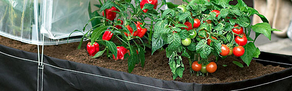 org:/banners product categories/kweekheader.jpg